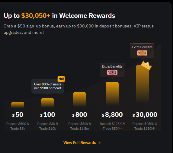 바이비트 30,000 달러