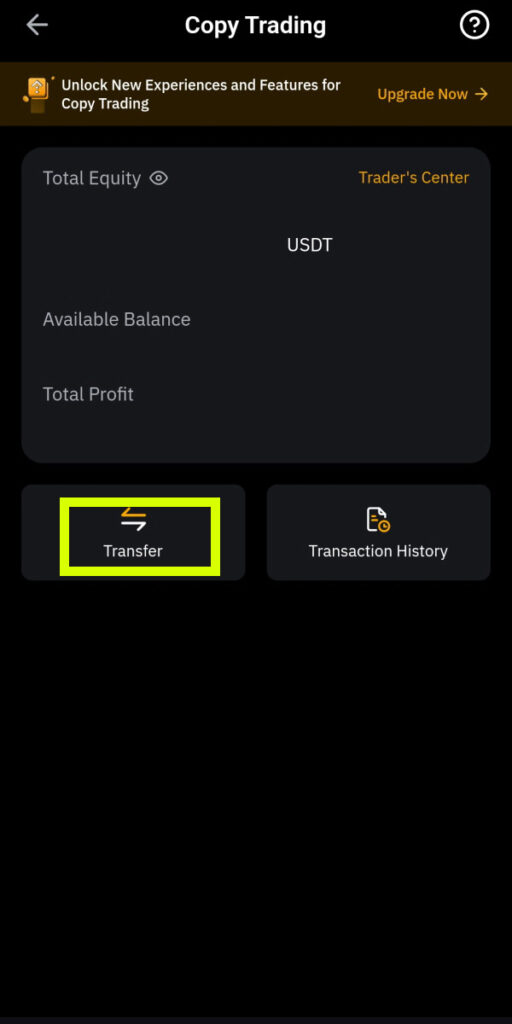 Bybit Transfer