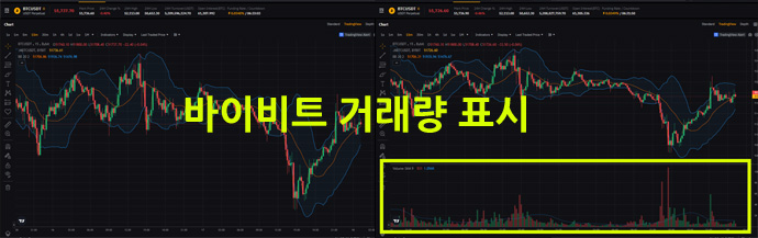 바이비트 거래량 표시