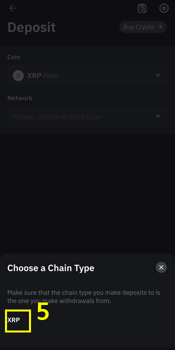 코인 체인 타입 선택